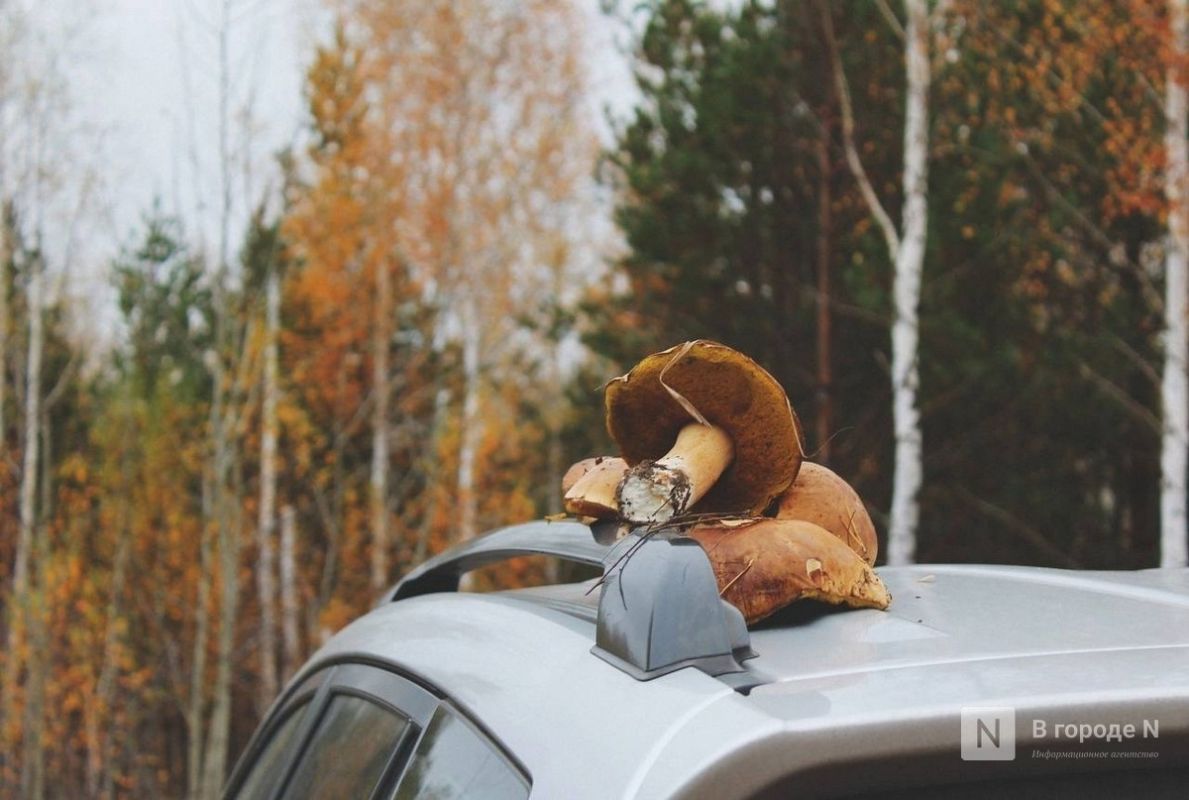 �������������� ������ ������ � ������������� ������� � �������!