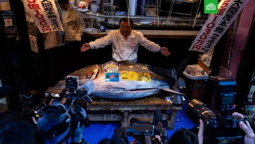 Голубой тунец за 3,25 миллиона долларов: новый рекорд на аукционе в Токио