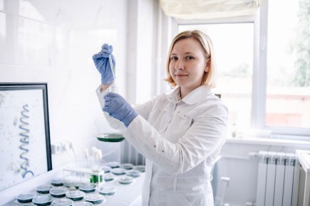 � ����� ������� ��������, ������� ��������� � ��������