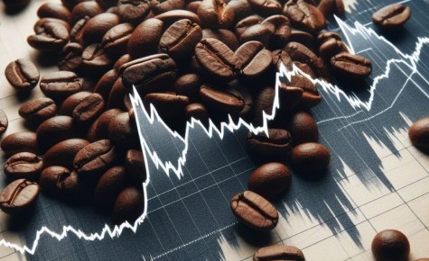 ����: ���� �� ����� ����� �� �������� ������