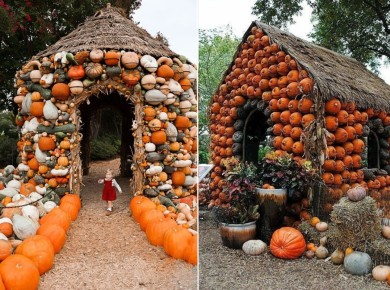 ��������� ������ �� ����������: ������ 2026 ����