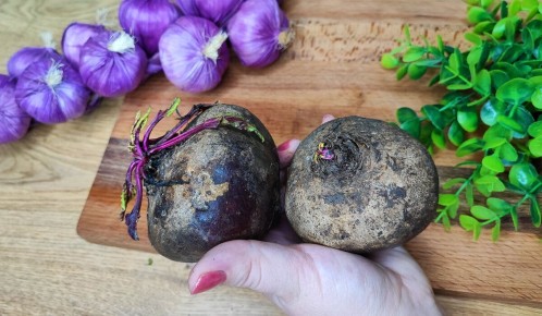 ������ ���������� ����� � ������������ ���������