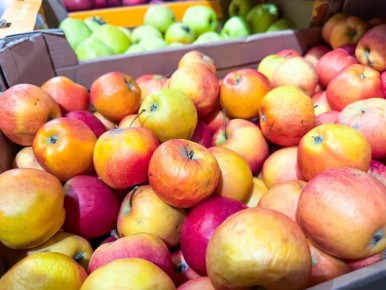 ������� �������� �����: ��� ��������� ���� � �������� �� ��� ����