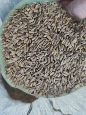 ����������: �������� �������� ��� ����������� ������ � ������?