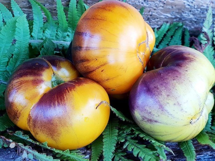 ����� ��������� ������: ��������� ���������� ������������ � �����