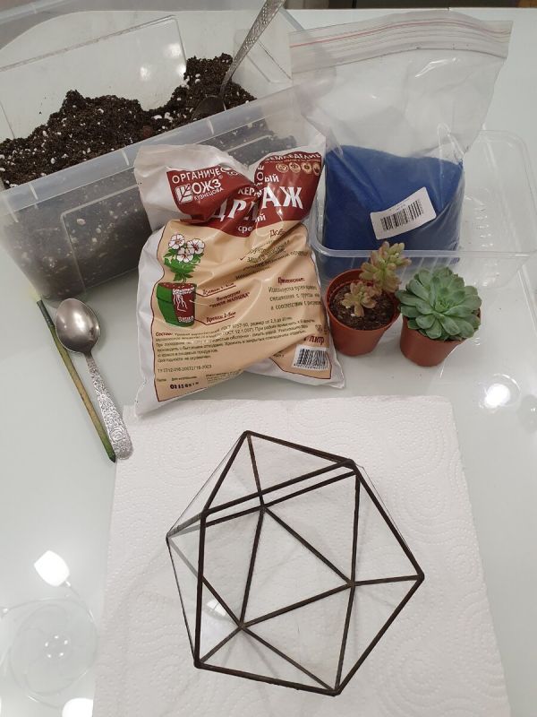 ��� ������� ��������� �� 40 �����: ��� �� ����� � ����������� �������