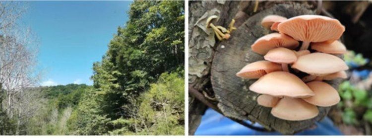 ����-������ �� ����� �������� ����������� �����