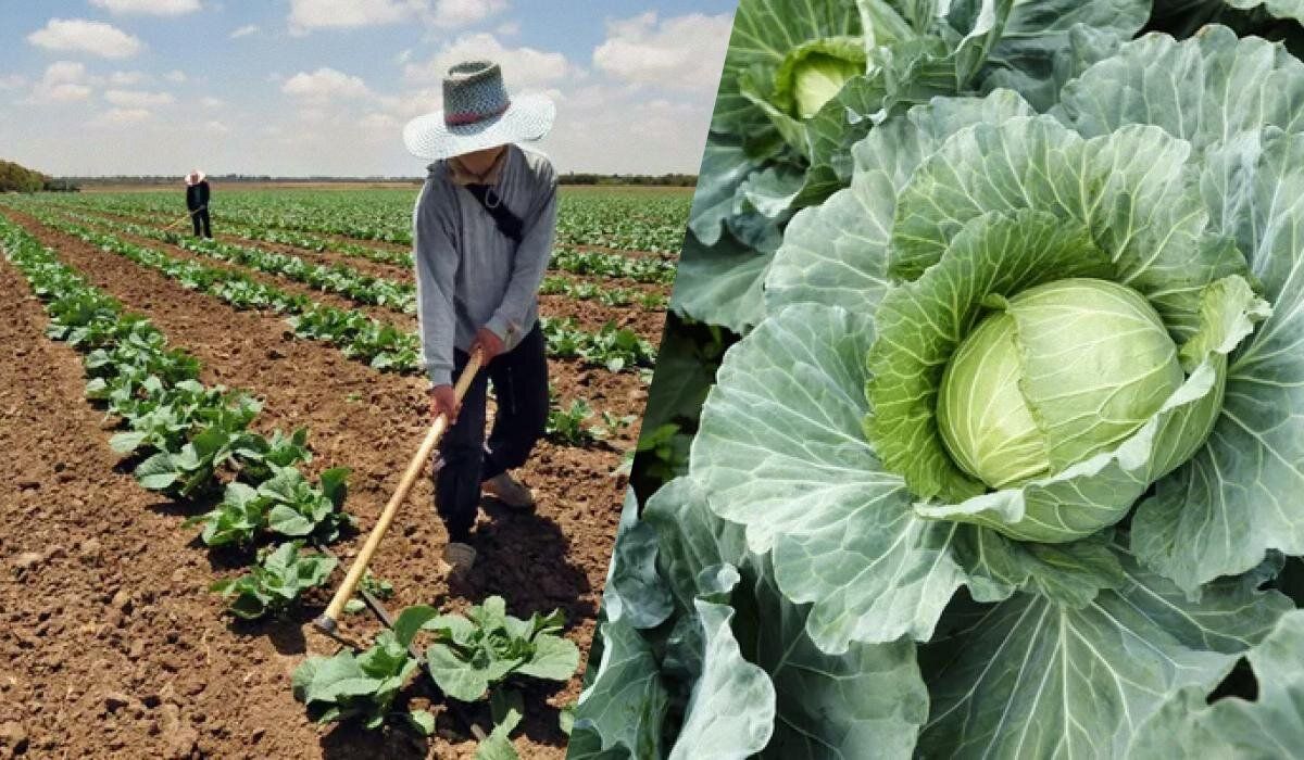 ��� ������, ����� �������� �������: ������� �������� �������� � ������ �� ������