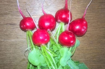 Как вырастить редис к Новому году: секреты успешного посева в домашних условиях