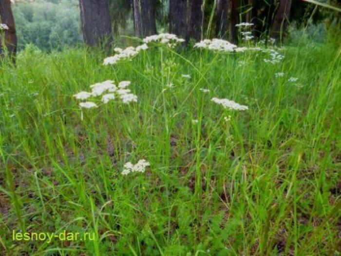 ���� � ��������: ��� ������, �� ���������� �����