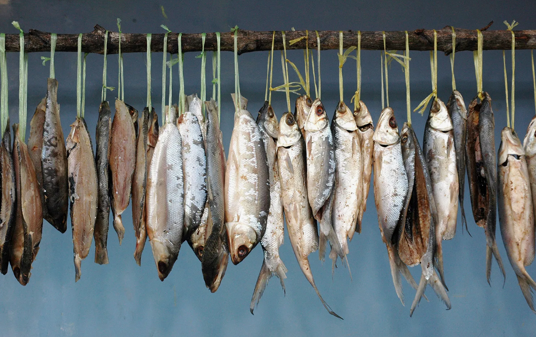 Секреты правильной сушки рыбы: советы бывалых