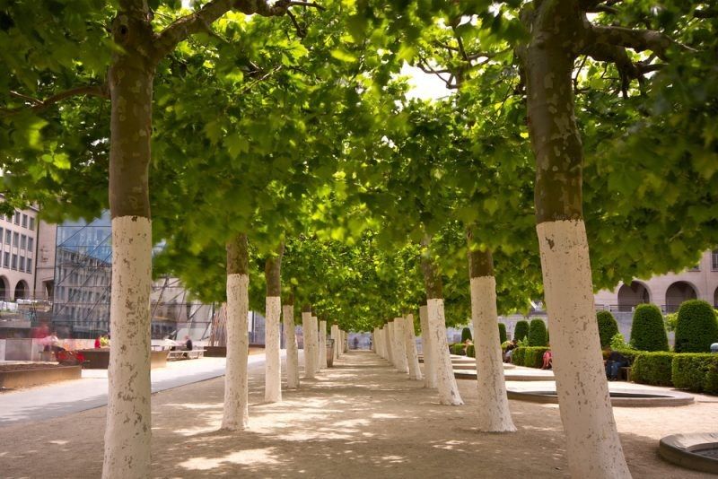 ������ ����� ������� � ������������� �� ��� ����������?