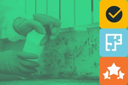 Плесень в доме: как она появляется и почему это серьезная угроза для здоровья