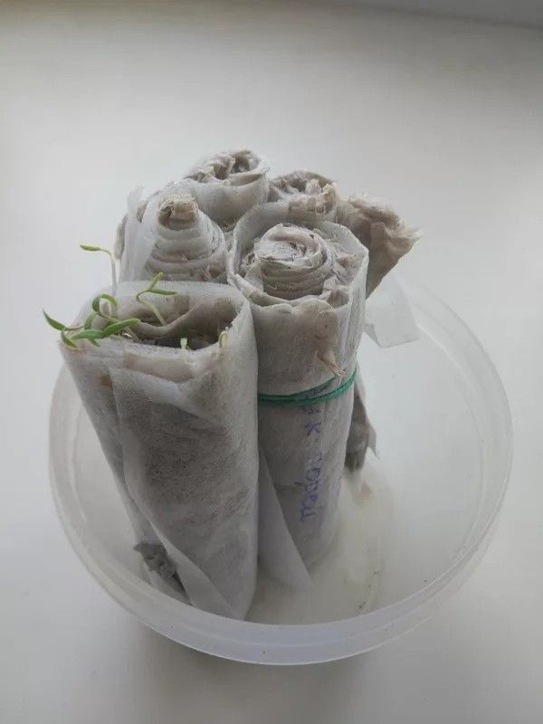 ������ �� ��������� ������: �� �������� �� ����������