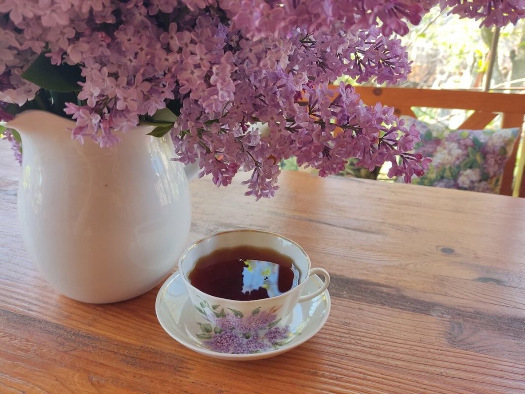 ��� �������� � ������� ������ �����: ������ ����� ������� � ������������ ��������