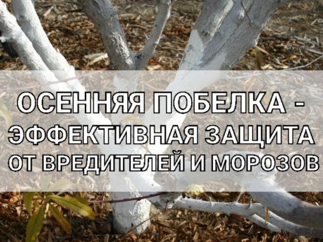 ����� ������ ������ ��������� �������: ������ ������� �����