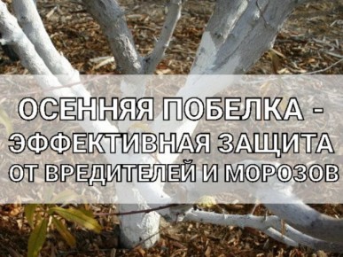 ����� ������ ������ ��������� �������: ������ ������� �����