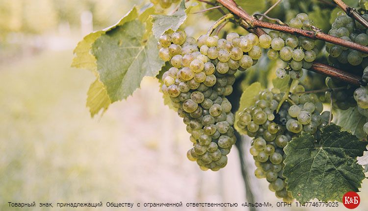 ����������� ����: ���������� �������� � ��������� ���������