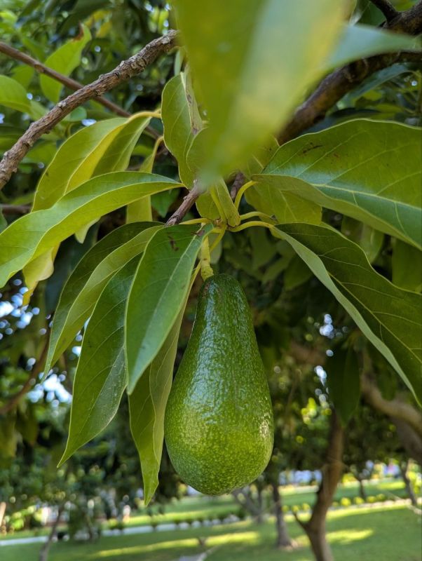 �������: ��������� ������� � ������� ���� �� �����