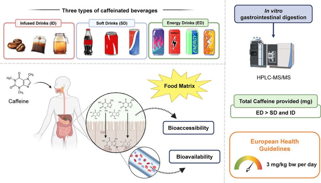 ������: ��� ��������� ������ �� ����������� � ��������������