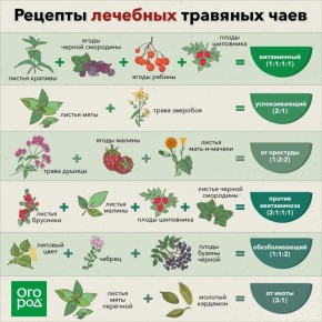 Золотые рецепты, которые должен знать каждый