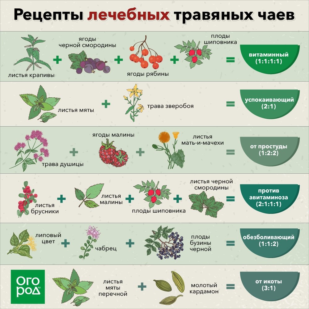 Золотые рецепты, которые должен знать каждый