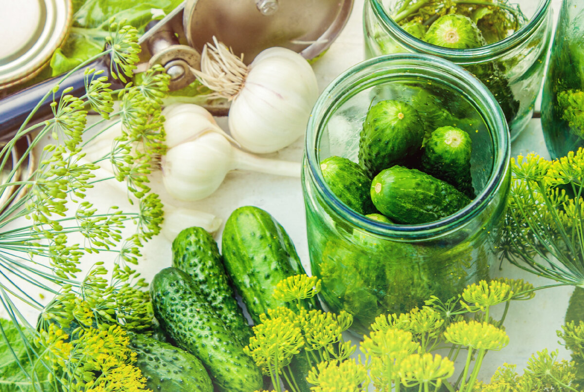 Как сделать огурцы, которые все запомнят