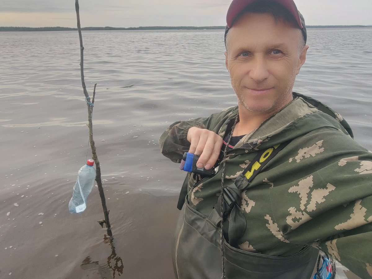 Удачный улов: крупный сиг и множество камбал с рыбалки