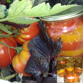 ������� ��������� ������� �� ����: ������ � ������