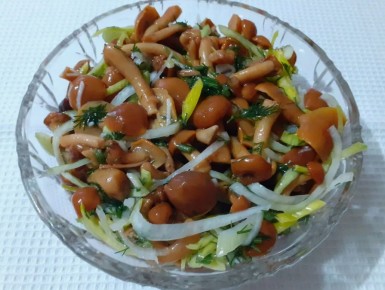 ��������� ������� ����������� ������ �����