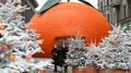 Арбат наполнился атмосферой праздника с зоной 'Мандариновое настроение'