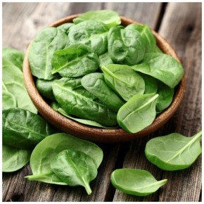 ������: �������� ������ ��� �������� � ���������