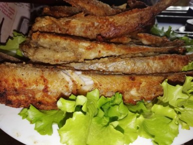 ������ ������� �����: ��������� ������� �������� ������ ��������