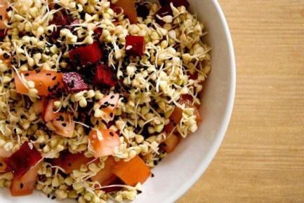 �����, ������� ������� ����� ������ � ��� ����: ����������� ������ � ��������