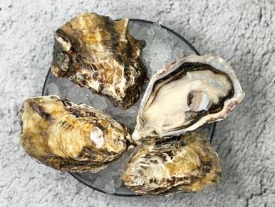 ������� �����: ���������� ���� �� ������ ������ ��� ��������