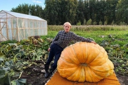 ����� ����� 614 �� �� ������ �������� ������������� ������� ���������� ������