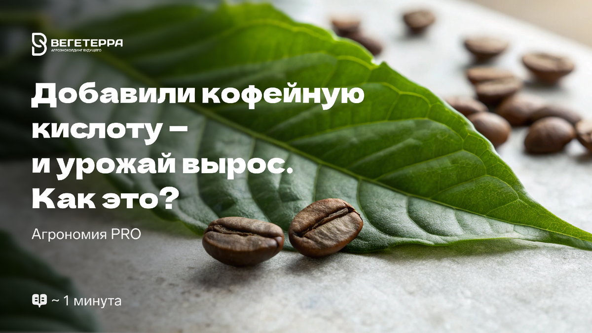 Кофейная кислота: природный помощник агрономов