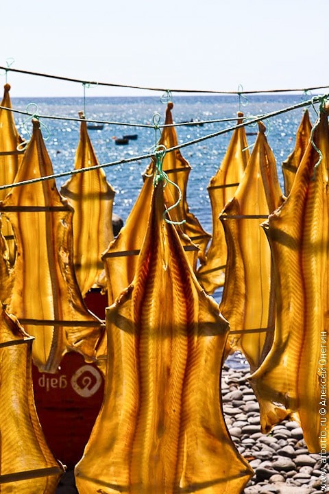 Секреты соленой трески: как бакаляу завоевала сердца европейцев