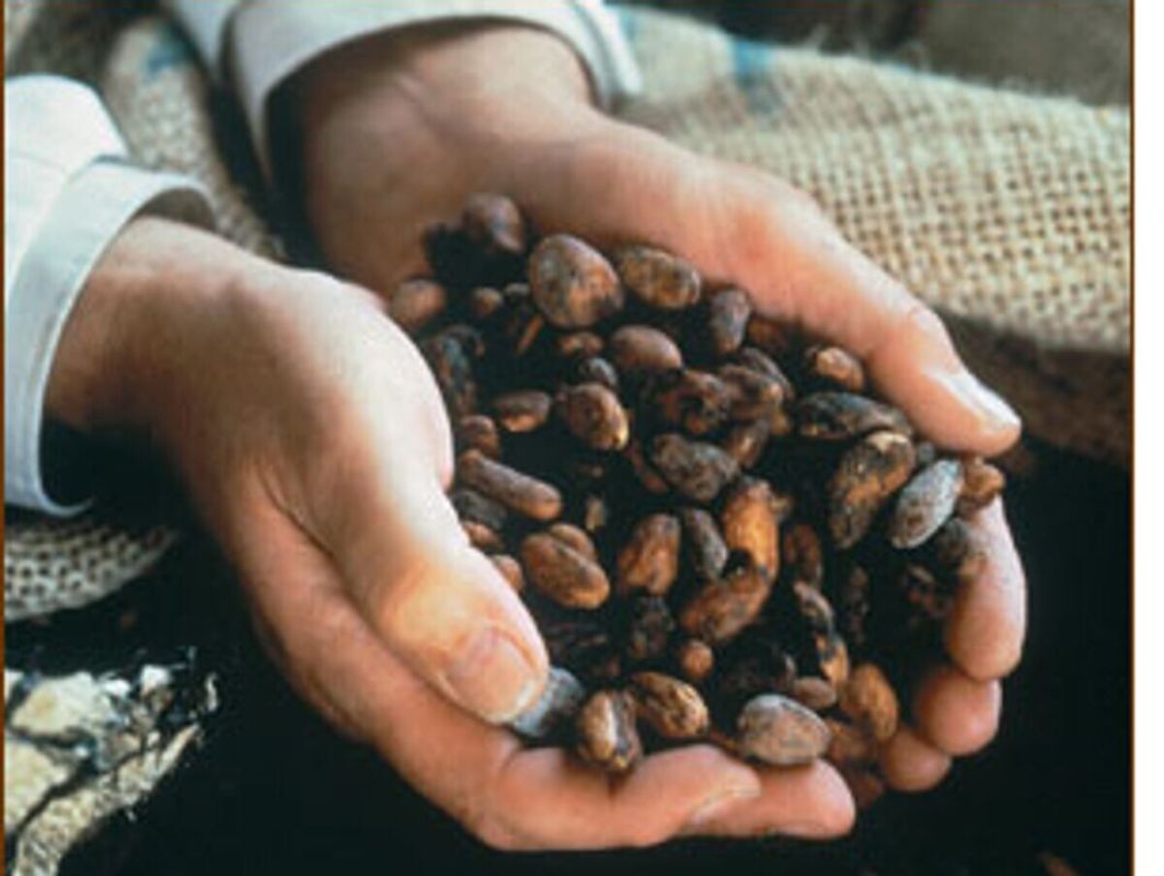 ���� �� �����-���� ��������� �������, ���������� �� ������ 2011 ����