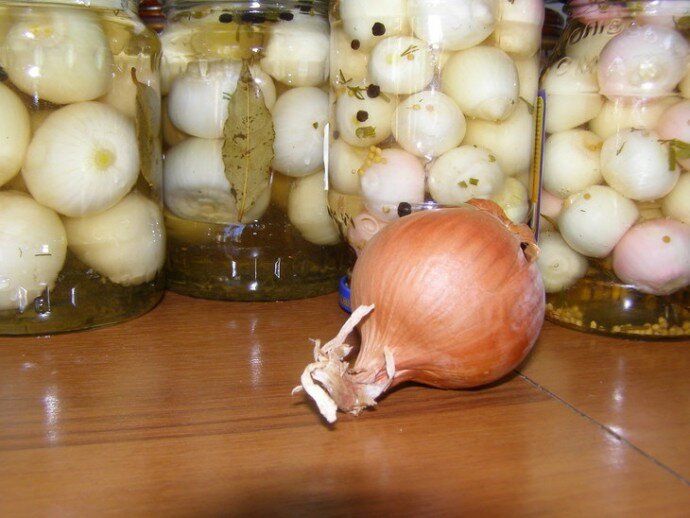 ���������������� ���: ��� ������ ������� ����