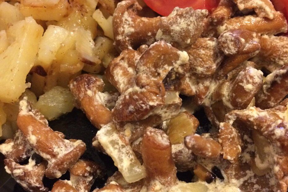 �������, ������� � �������: ������� � ������� ������