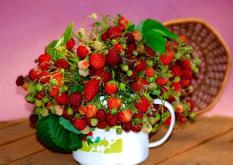 ���������� ����� � ���������: �� ������� �� ���������