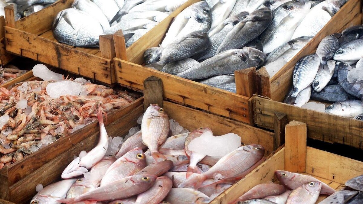 Беларусь занимает лидирующие позиции на российском рынке рыбы