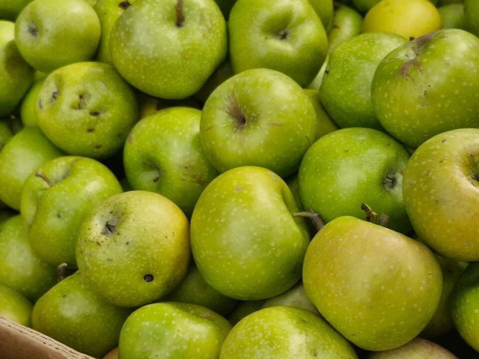 ������� ����������� ������������ �����: ������ ����������������