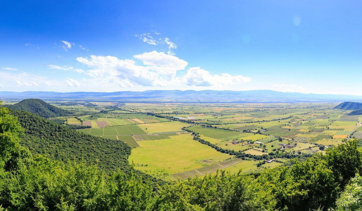 Алазанская долина: Древнее искусство вина в гармонии с природой