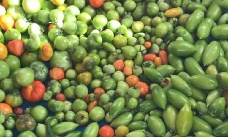 ����������� � �����-������ 2026: ���������, �� ���������� �������