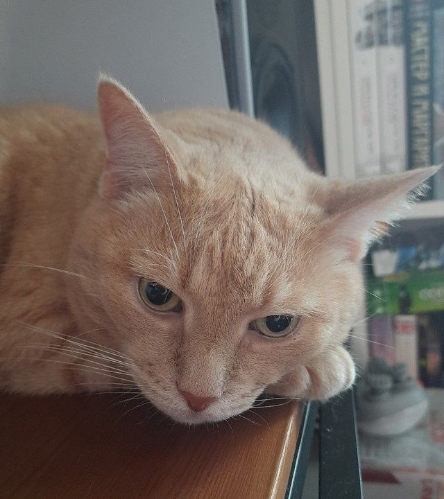 ������ ����� ������: ��� ��������� ���� ������ � �������� ��������