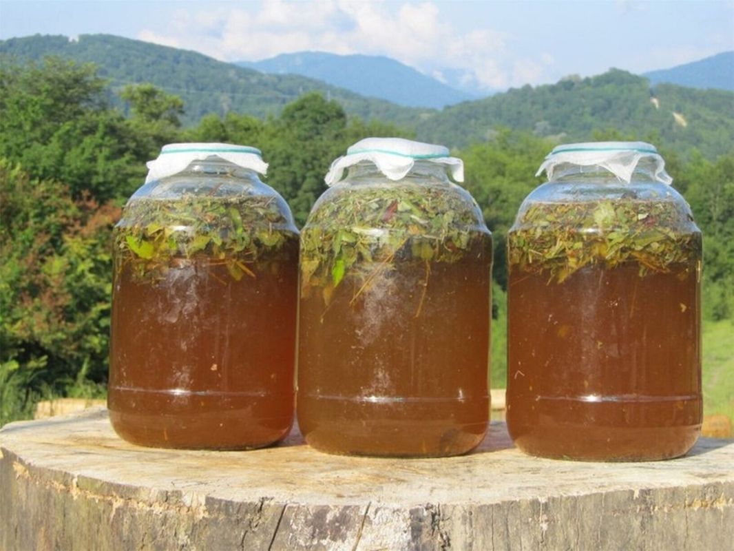 ������: �������, ������� ������ � ������