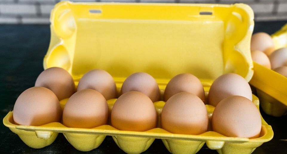 ������ ���� ������ ������ � ������: ����������� � �������� ��������� ��������