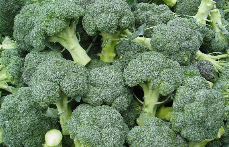 ����� ������ ��������: ��� ������ ��� ��������� ������ �� ����� �������